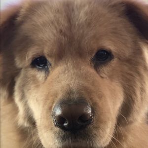 Meet your Posher, Shari